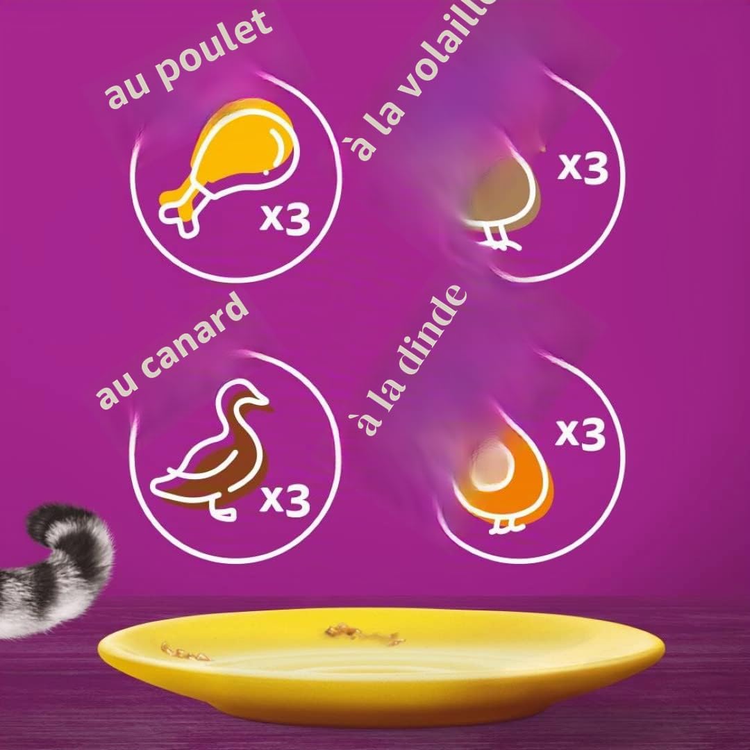 Whiskas 1 + Nourriture pour Chat au Choix en gelée, 12 x 85 g (4 Paquets) – Nourriture Humide de qualité supérieure pour Chats Adultes en 48 sachets portions