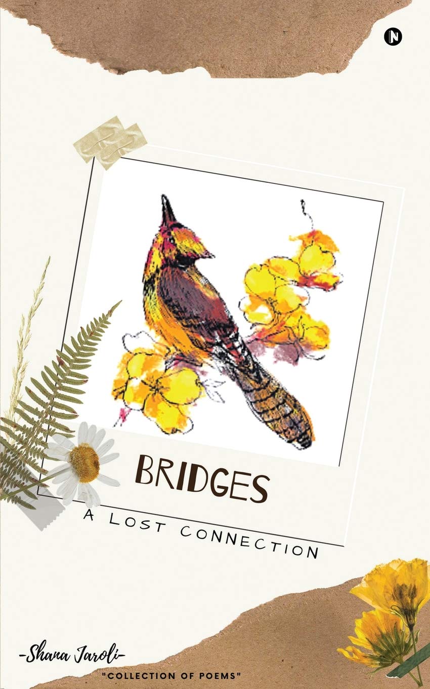 Bridges : A Lost Connection