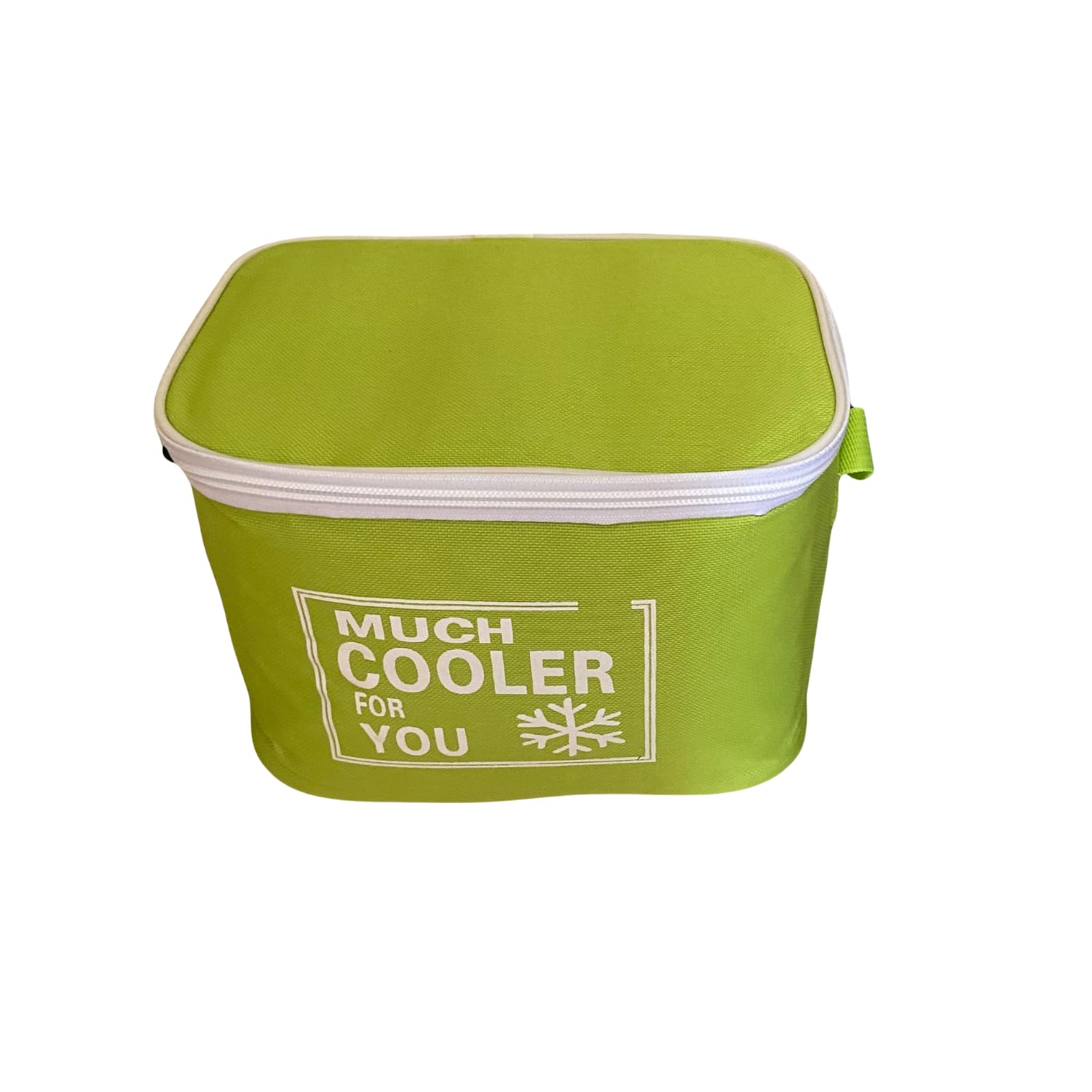Mini Nevera Portatil, Bolsa Nevera Portatil, Bolsa termica Porta Alimentos, Nevera Portatil Pequeña, Bolsa Termica Almuerzo, Playa, Piscina, Picnic, Oficina, Senderismo,Porta Fiambrera,(Verde)