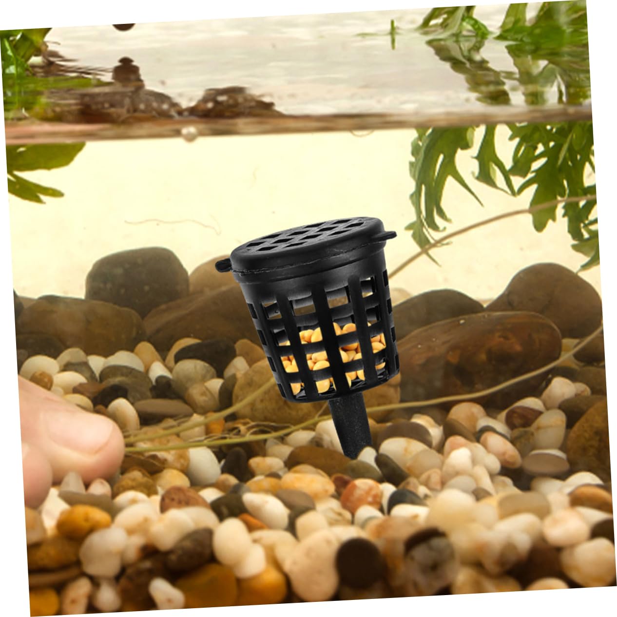Yardwe 3 Juegos Fertilizante De Loto De Agua Red De Fertilizante Canasta De Bonsai Canasta De s Para Plantas Malla De El Plastico Black 100 Uds * 3