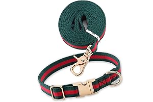 Designer Collar for Dogs: Express Your Pet's Style