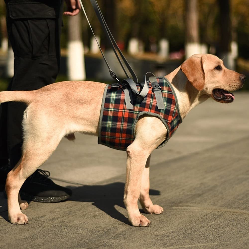 Harnais de Levage pour Chien,Support de Levage de Chien avec Poignée pour Pattes Avant,Sangles Réglables pour Chiens Âgées Handicapées Récupération Et Marche