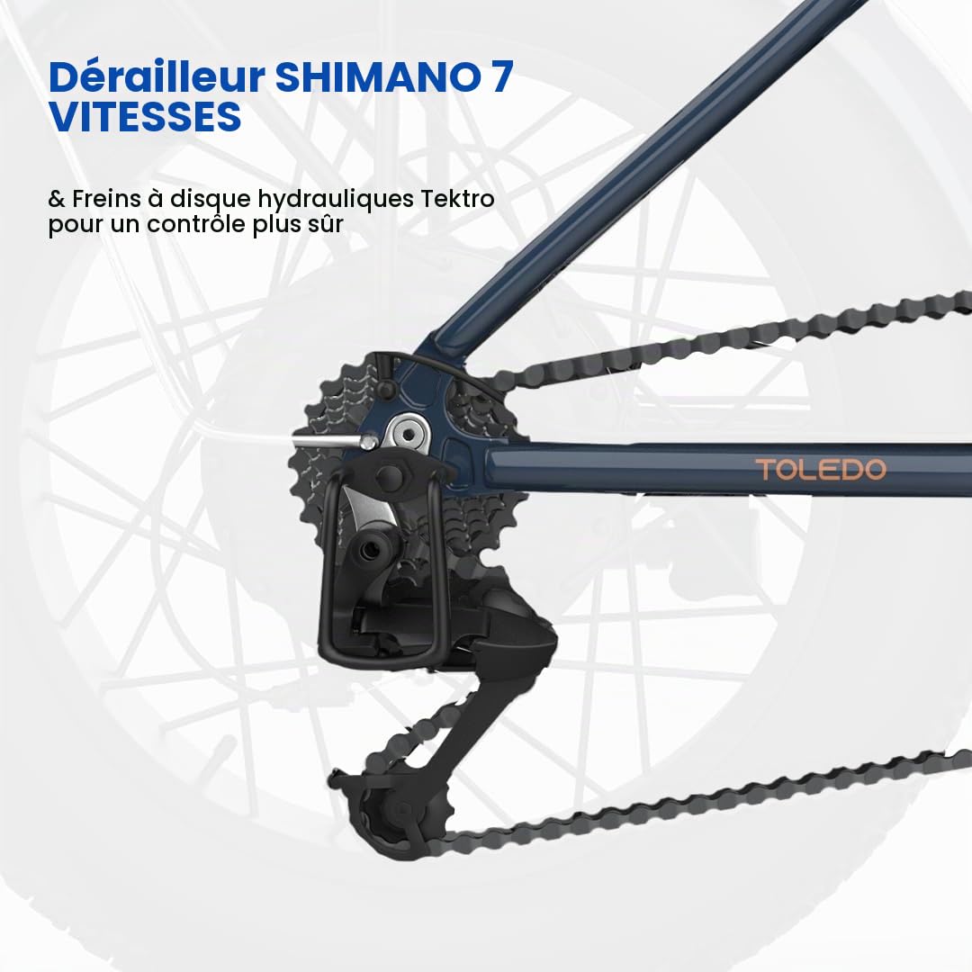 EMotorad Toledo | Vélo Électrique Pliable pour Adultes | Pneus Kenda Fat Tire 20x4" | Moteur 36V 250W | Batterie Amovible 13Ah | 5 Niveaux d’Assistance | Écran LCD