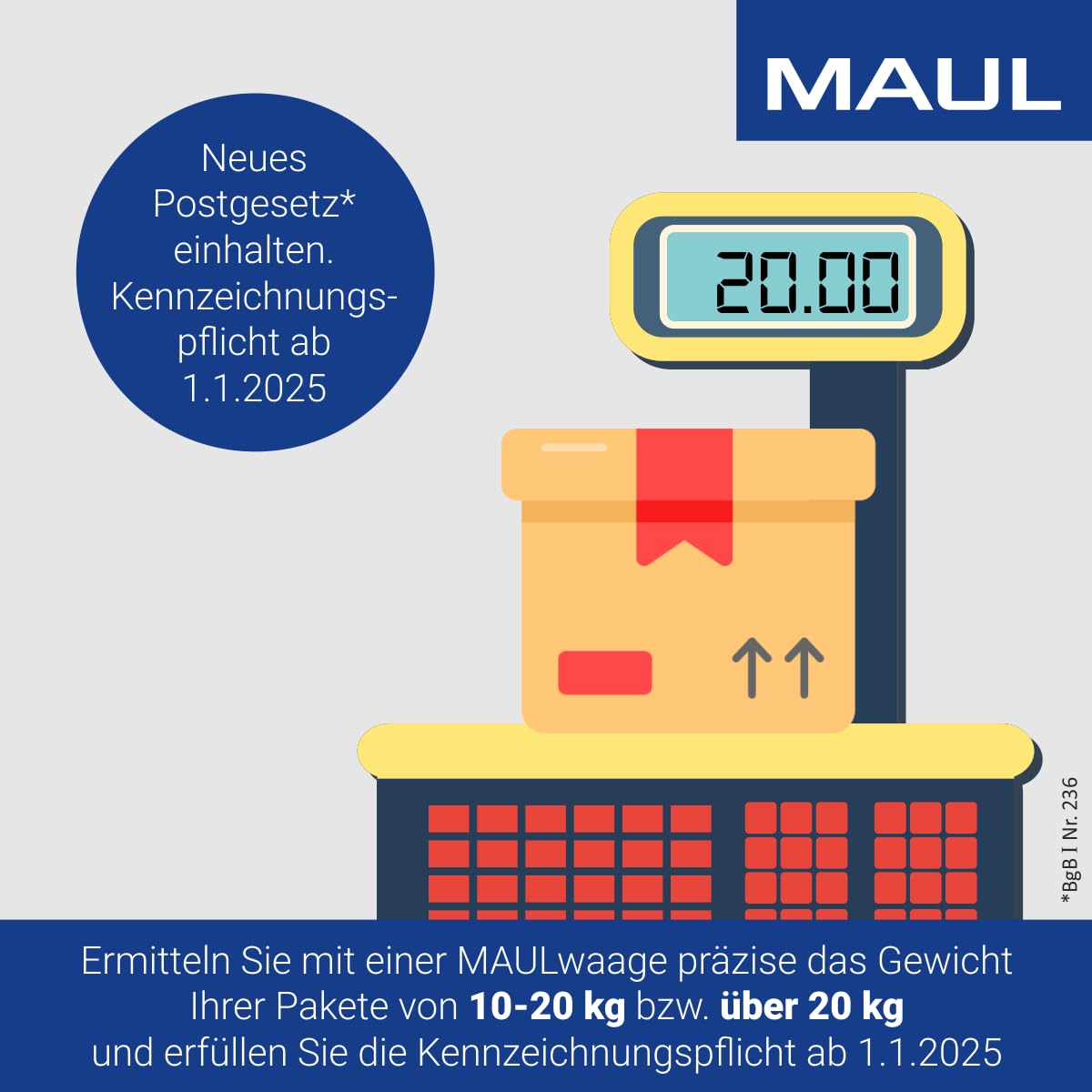 MAUL Paketwaage MAULcargo | Stabile Paketwaage bis 50kg | Große Wiegefläche 27 x 27 cm | Waage inklusive Netzteil und separatem Bedienpult | Netz- und Batteriebetrieb möglich | Edelstahl