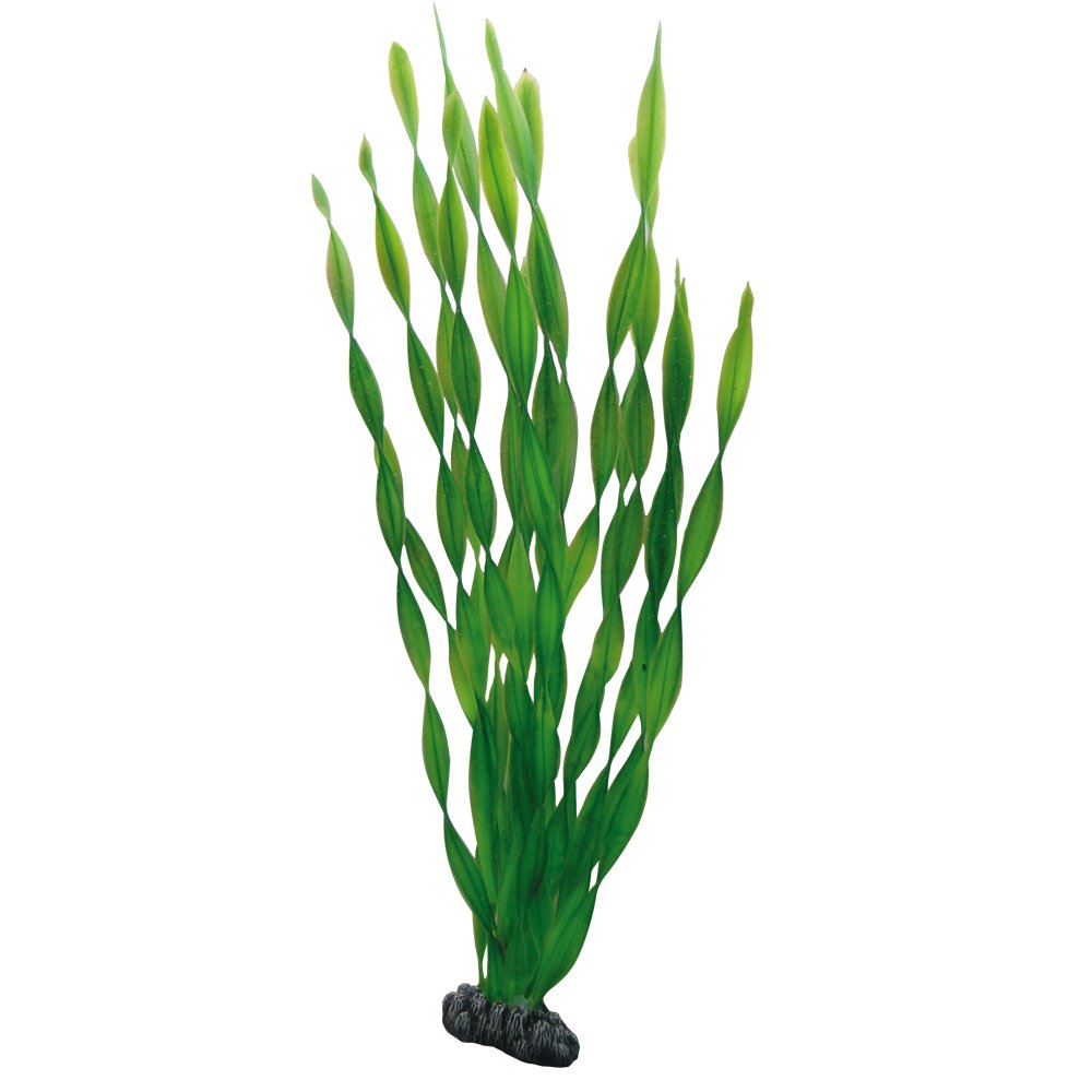 Hobby Artificial Vallisneria Plant, 36cm, Green, 1 Count, Realistic Style, Aquarium Plant