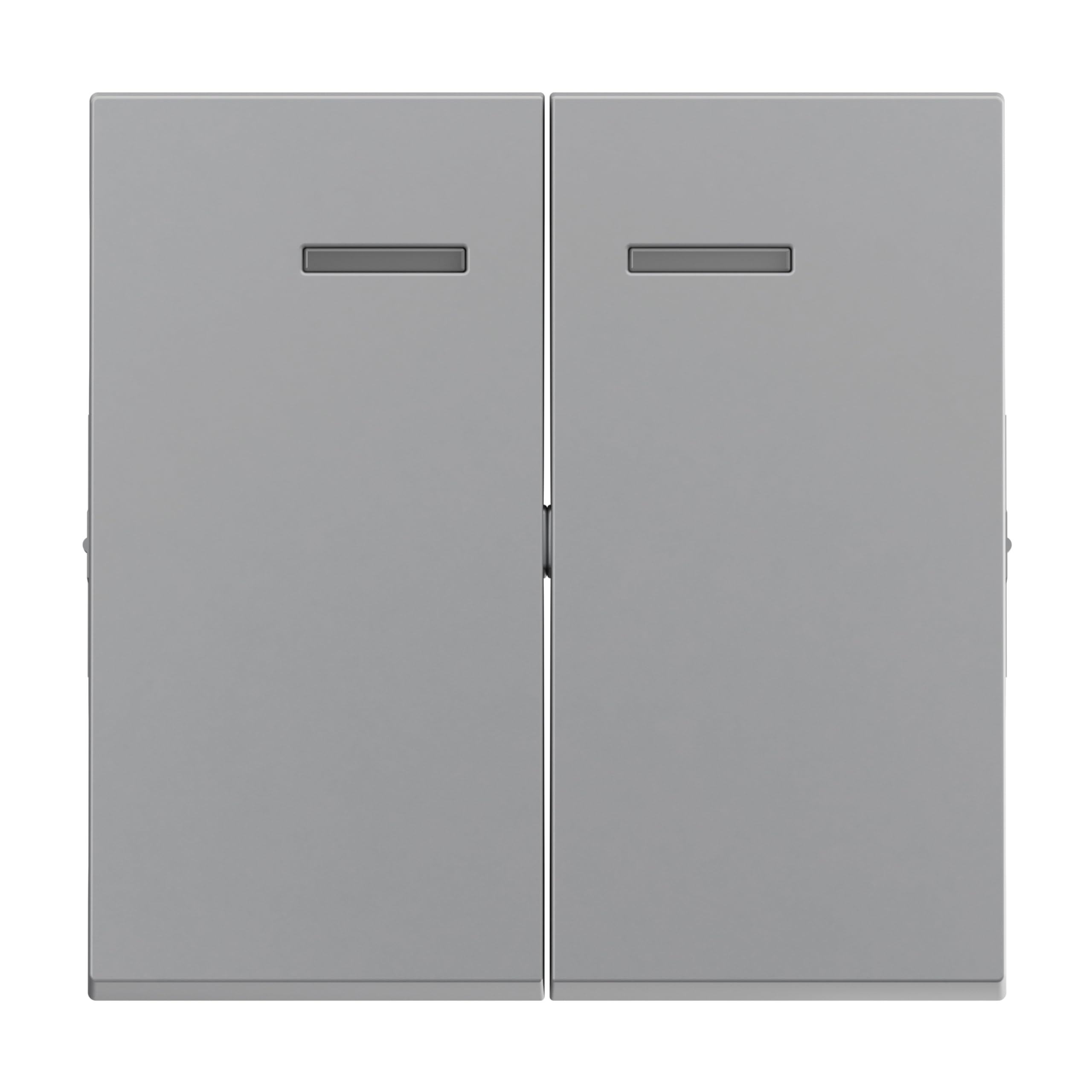 LEGRAND, Seano 765209 Series Rocker for Illuminated Series Switches, Double Toggle Switch and Double Push Button, Switch Cover, Rocker Plate, Colour: Painted Aluminium