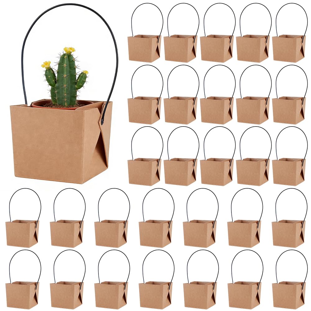 BENECREAT 30 Sets Succulent Wrap Bags, 8.8x8.8x8cm/3.5x3.5x3.1 Inch Small Kraft Paper Succulent Gift Box with Handle for Wedding, Party Favors, Plants Decoration