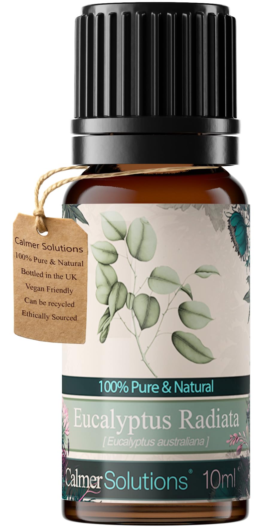 Calmer Solutions Colourless To Pale Yellow Eucalyptus Radiata 100% Essential Aromatherapy Oil 10Ml