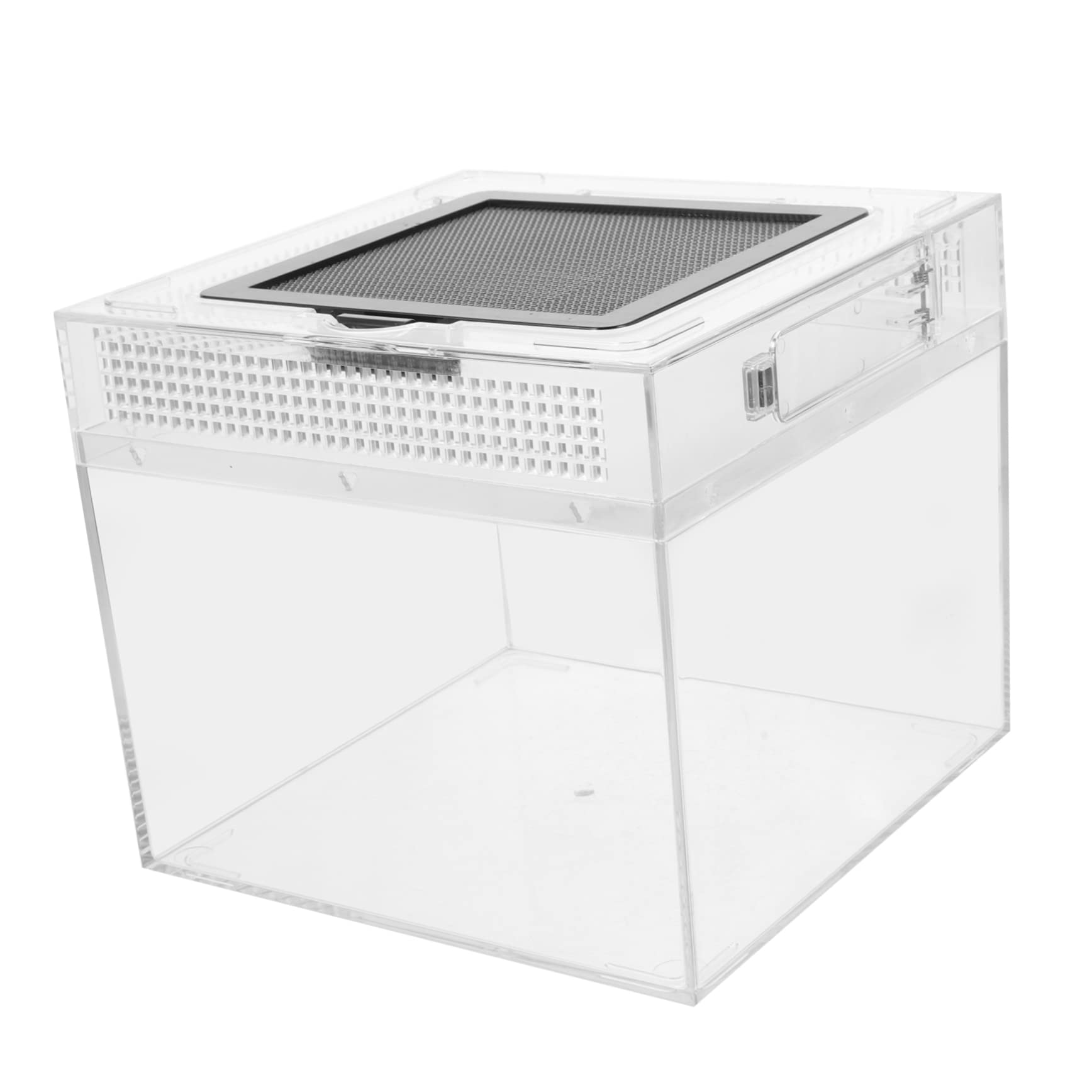 Toddmomy Recinto para Reptiles Transparente con Tapa Magnética Deslizante Incubadora Creativa y Alimentador Práctico para Arañas y Tortugas Pequeñas