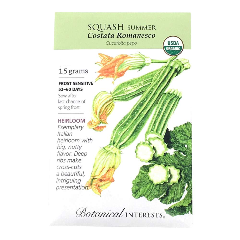 Organic Summer Costata Squash Seeds - Heirloom Variety For Home Gardens