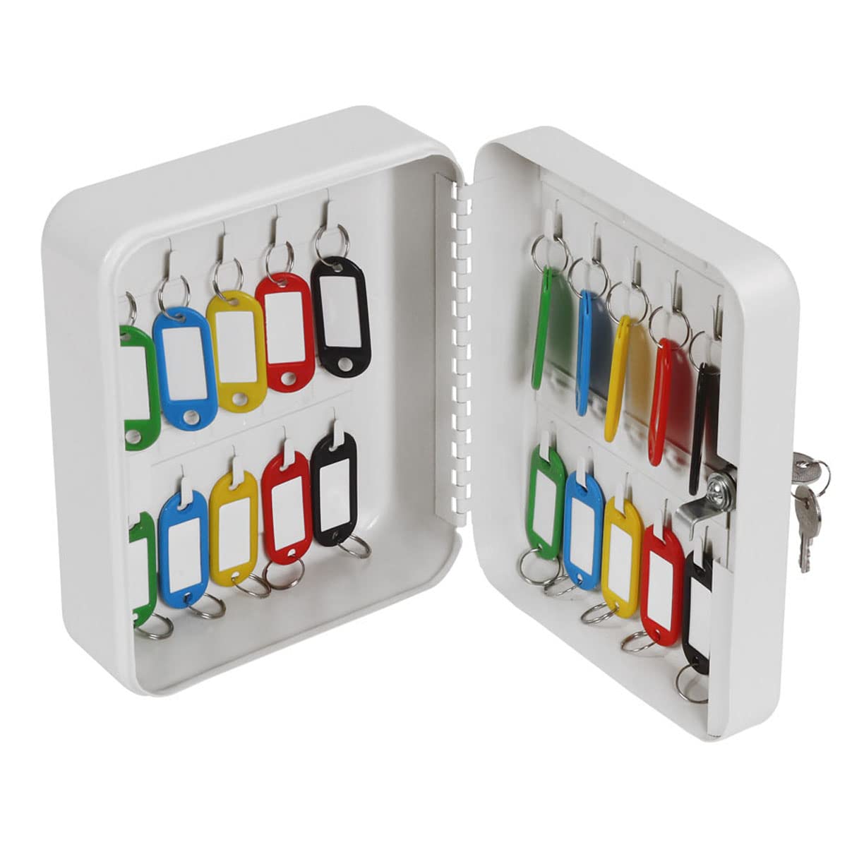 ARURA (LABEL) Metal Key Holder Box Key Locker Wall Home Key Storage Box