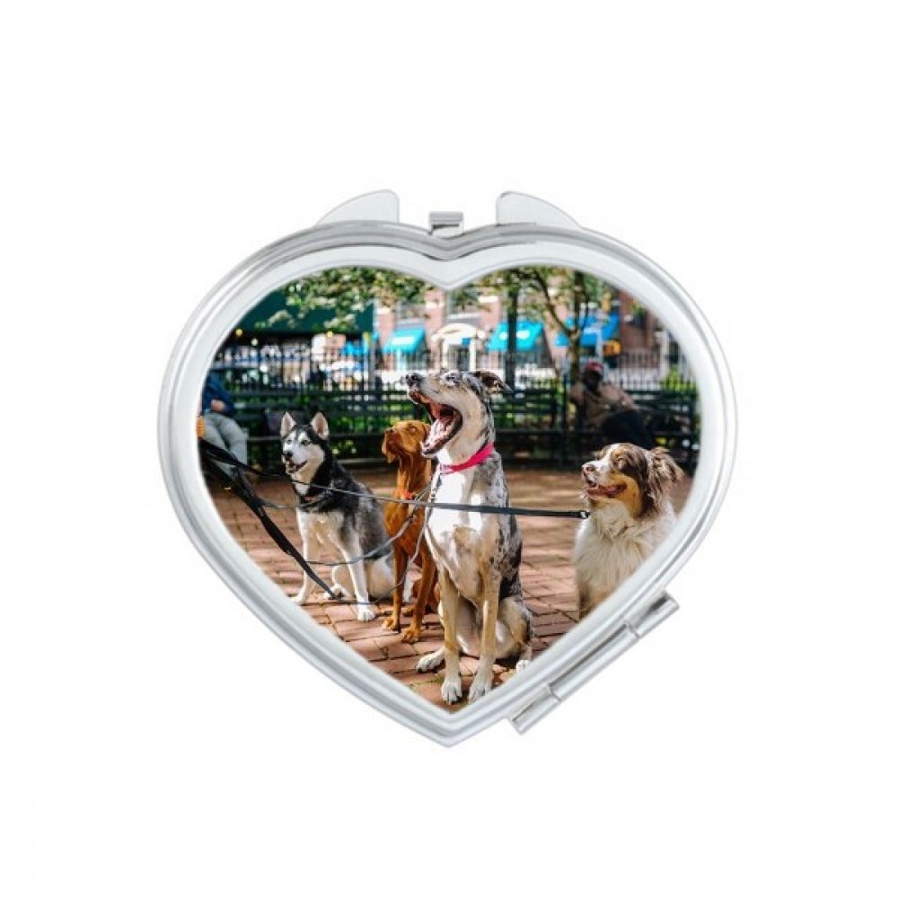 Miroir de Maquillage Chien Photo Cœur Cadeau Mignon Portable pour Amoureux des Animaux