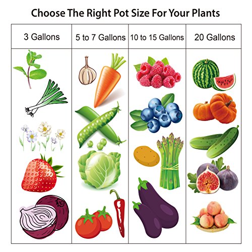 Gardzen 10-Pack 5 Gallon Grow Bags, Aeration Fabric Pots With Handles #TOP6