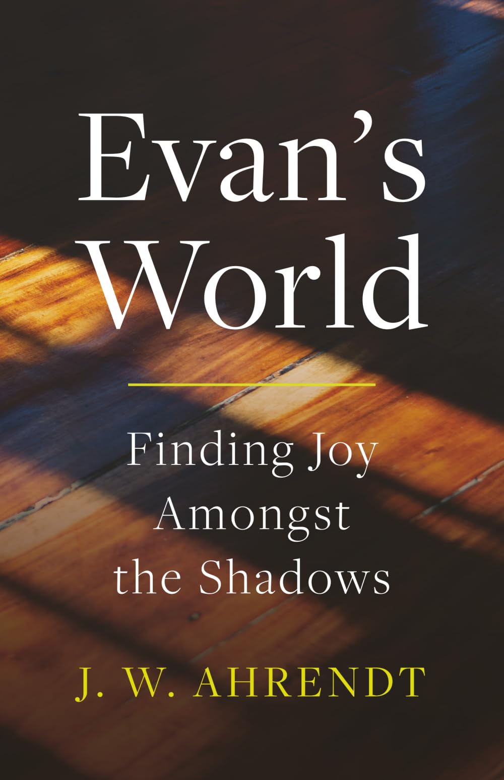 Evan's World: Finding Joy Amongst the Shadows