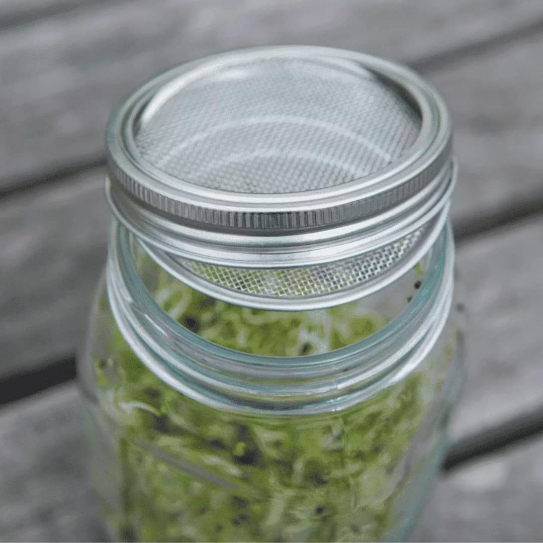 Sprossenglas Set - Plastikfrei - 1000ml - 1l Keimglas - Gestell aus Edelstahl und Untersetzer aus Keramik - Flexibel erweiterbar - optimale Größe für den Start in die Welt der Sprossen