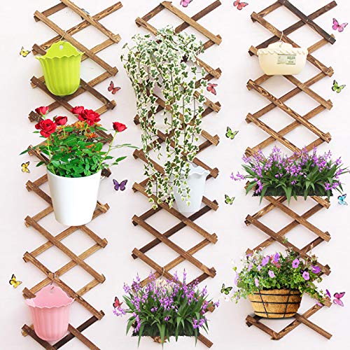 Iceyyyy Wood Lattice Wall Planter - Expandable Hanging Wooden Planter Trellis Frame, Indoor Air Plant Vertical Rack Wall Decor For Room Garden #TOP3