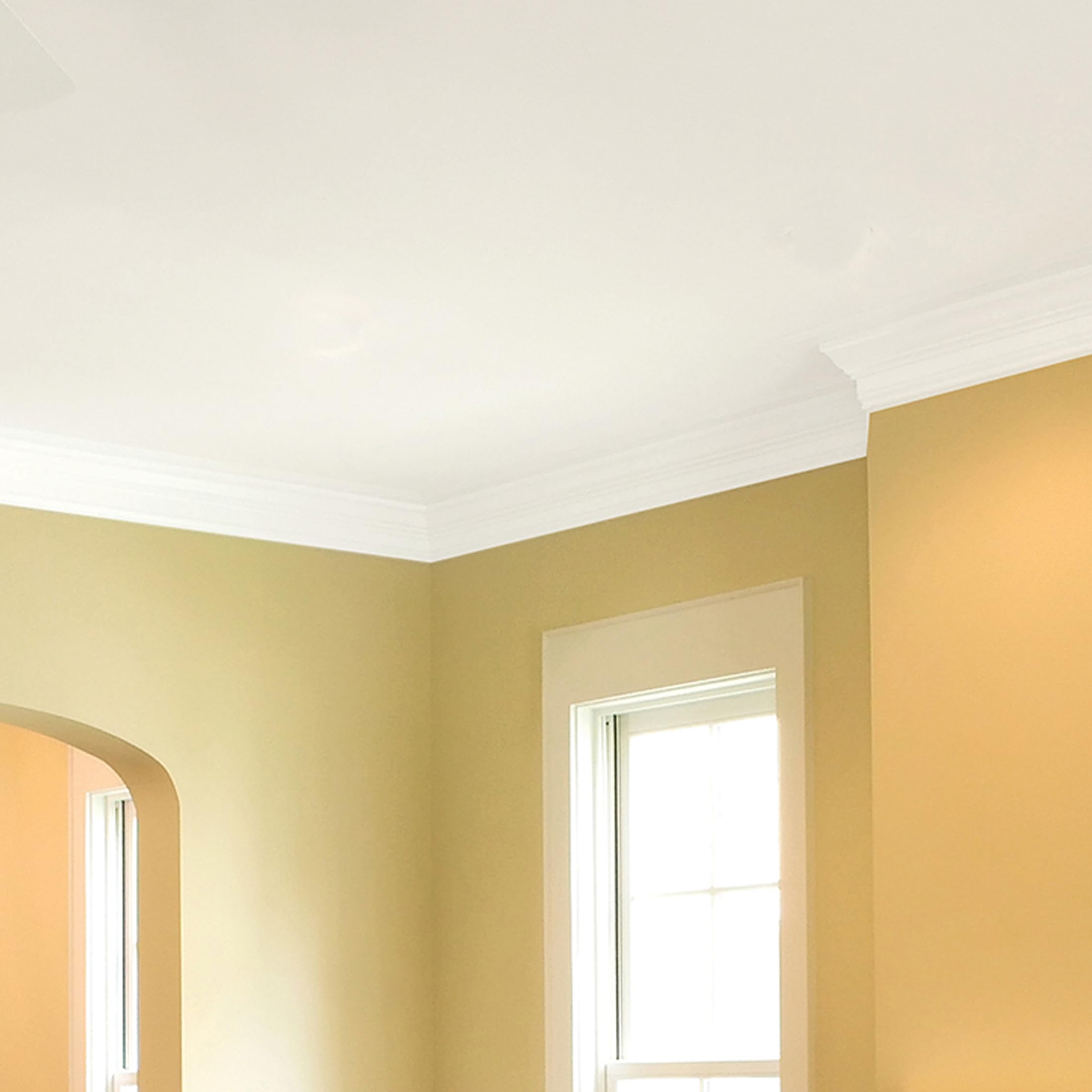 Zinsser 260967 Ceiling Paint & Primer in One, Gallon, Bright White