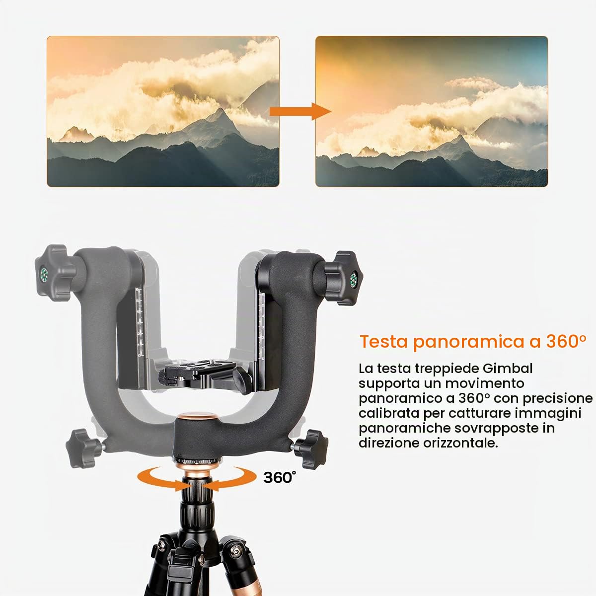 Koolehaoda Testa del treppiede professionale in metallo pesante con piastra a sgancio rapido Arca Swiss e livella a bolla, adatta per fotocamere DSLR fino a 26 libbre/12 kg