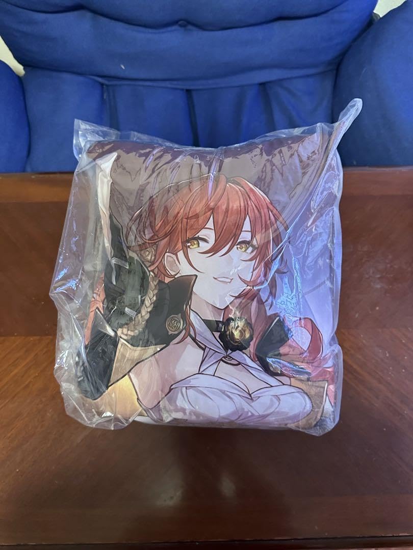 Amazon.co.jp: GIGO 崩壊スターレイル ビッグクッション 姫子