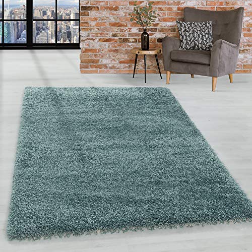 Homebyhome Alfombra Salon Peludo De Pelo Largo Aqua 60x110 Cm - Alfombras De Habitacion Sala De Estar Modernas Suave Y Esponjoso - Alfombras Dormitorio Moqueta Cocina Pasillo Corredor Homebyhome Alfombra Salon Peludo De Pelo Largo Aqua 60x110 Cm - Alfombras De Habitacion Sala De Estar Modernas Suave Y Esponjoso - Alfombras Dormitorio Moqueta Cocina Pasillo Corredor