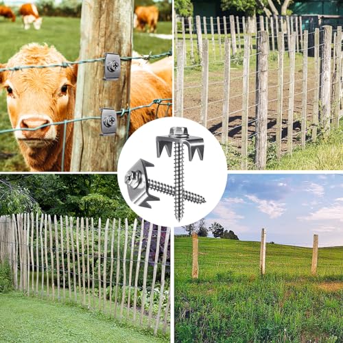 Fence Staples, Insaga 304 Stainless Steel Fence Nails for Softwood, Reusable Wire Fence Staples Screws for Mesh and Woven Fencing, 100pcs Fence Fasteners with Wire Fixer Hold Wire Firmly - Image 6