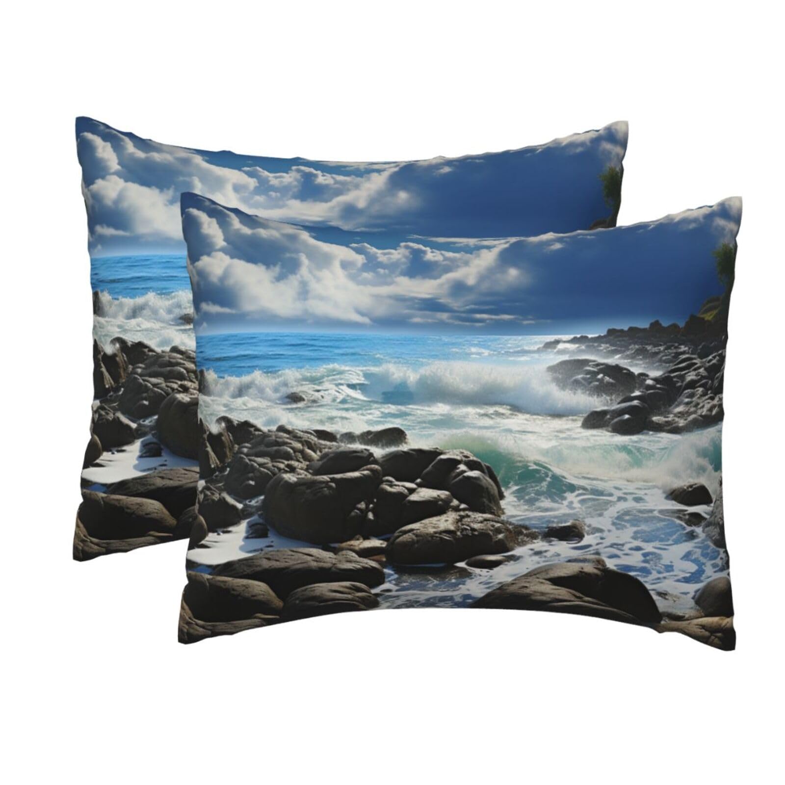 2 Pack Standard Pillow Cases with Hidden Zipper, Soft Breathable Pillow Covers for Hair and Skin, Ocean Pouring Over Coastal Rocks Pillowcases 20"x26" Bed Pillow Protectors Cover for Sleeping Gifts