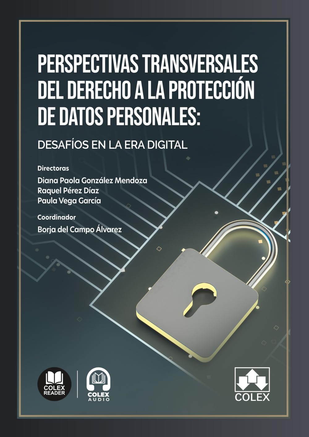 Perspectivas transversales del derecho a la protección de datos personales: desafíos en la era digital (monografico)