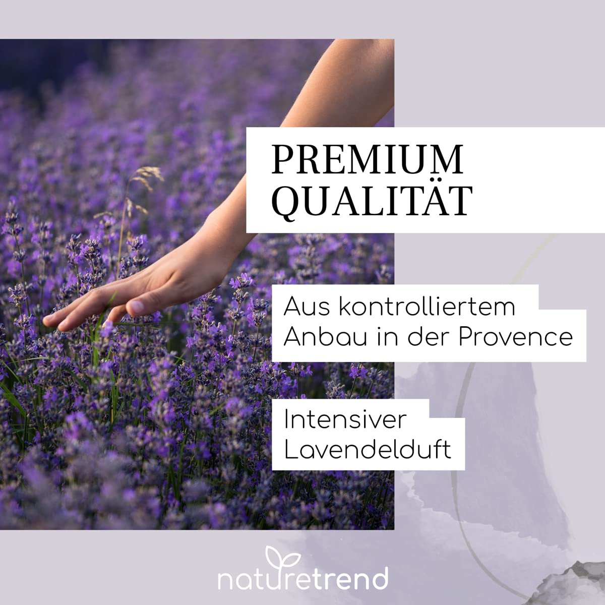 Lavanda Seca Naturetrend 1kg - Provenza Francesa Aroma Intenso Para Popurrí