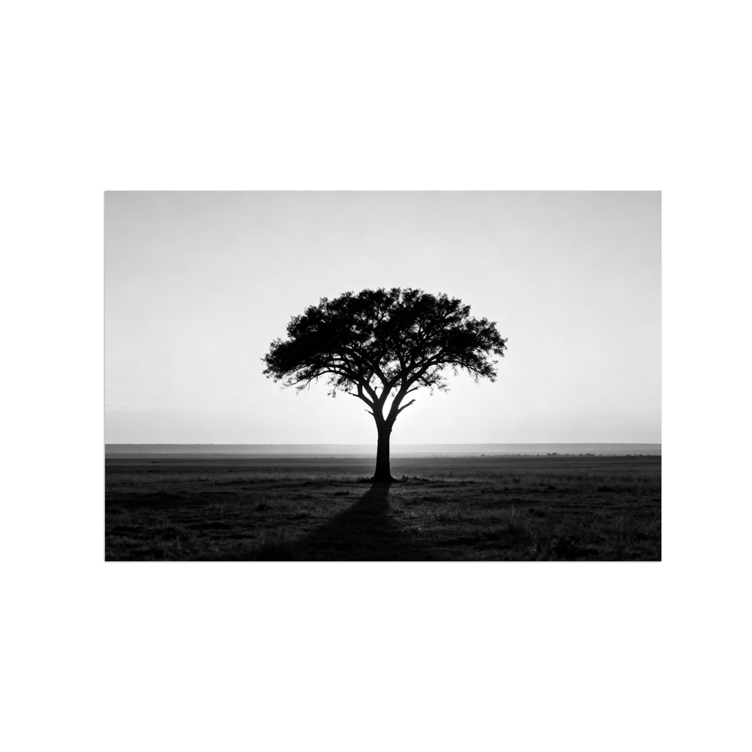 OZPWBVY Black and White Landscape Print Painting-Tree Grassland-Minimalist Canvas Wall Art Picture for Home Decor 12x18in 30x45cm Unframed