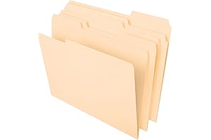 Island File Folder: Your Sturdy Companion for Organized Filing