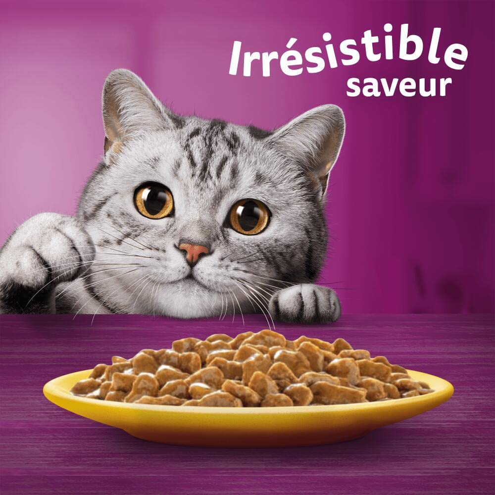 WHISKAS Aliment humide en sauce Chat senior 7+ 12x85g Festins à la Volaille (Lot de 4) 48 Sachets