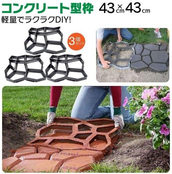 熱帯植物: Tococa sp. 熱帯植物.com – 熱帯植物のいろいろなこと