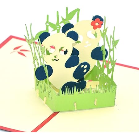 Carte De Vœux Panda D Ours Panda Bambou Carte D Anniversaire Avec Panda 3d Pop Up Carte D Invitation Carte D Invitation Berlin Zoo China Bon Cadeau Et Souvenir Amazon Fr Fournitures De