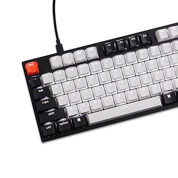 Amazon.com: Keychron C2 Full Size Wired Mechanical Keyboard