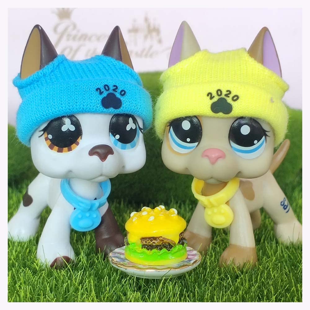 LPSTOYS LPS Great Dane 577 1647 With Accessories Lot Doll House Accessories Boys Girls Kids Christmas Birthday Gift (1647 577)