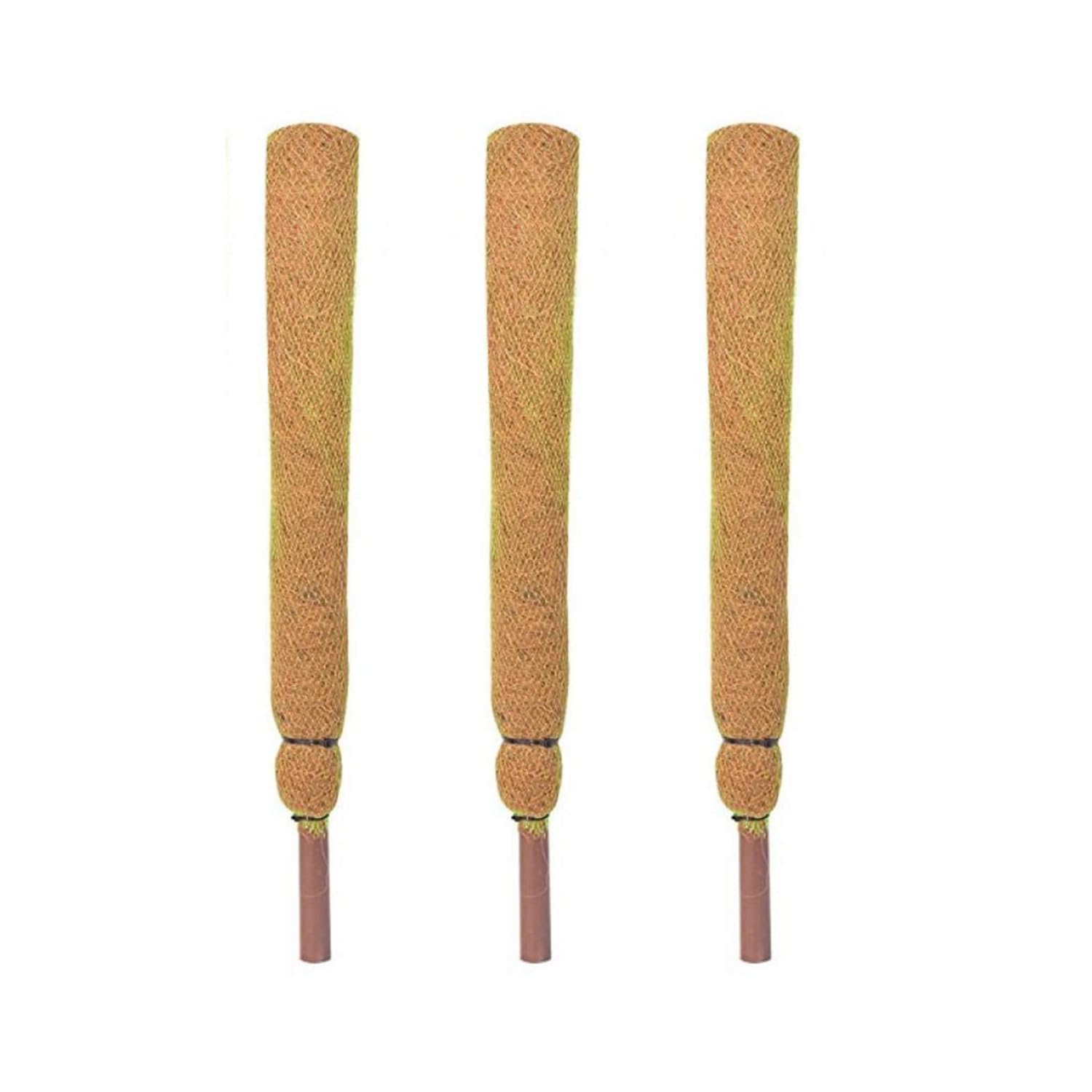 KURUPPATH GROUP 2 Feet Coir Moss Stick/Coco Pole for Climbing Indoor Plants (B09BKVR99X) Amazon Price History, Amazon Price Tracker