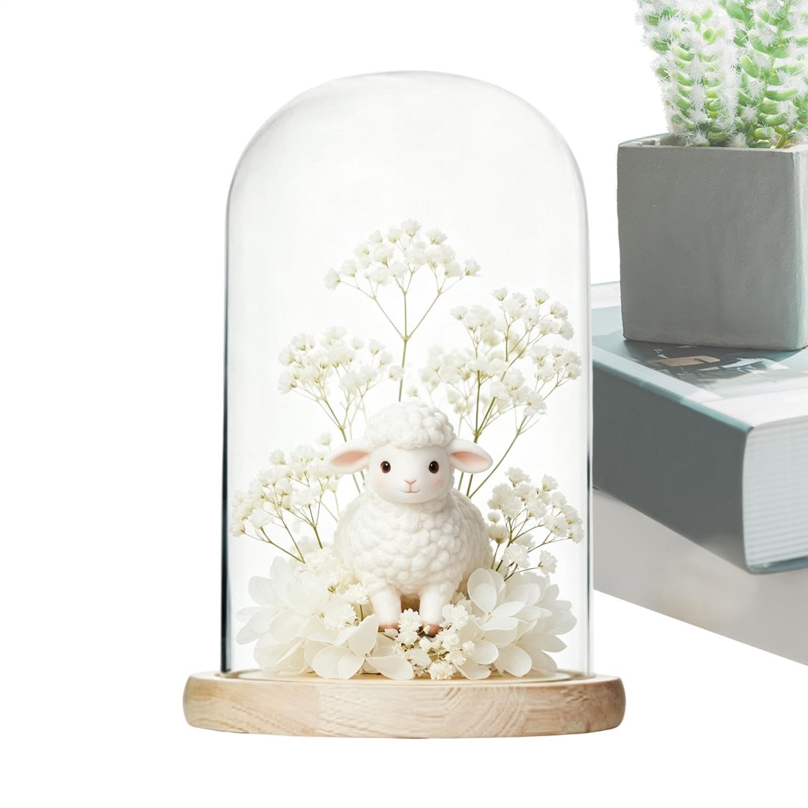 Cloche en verre pour présentation avec socle en bois pour objets de collection