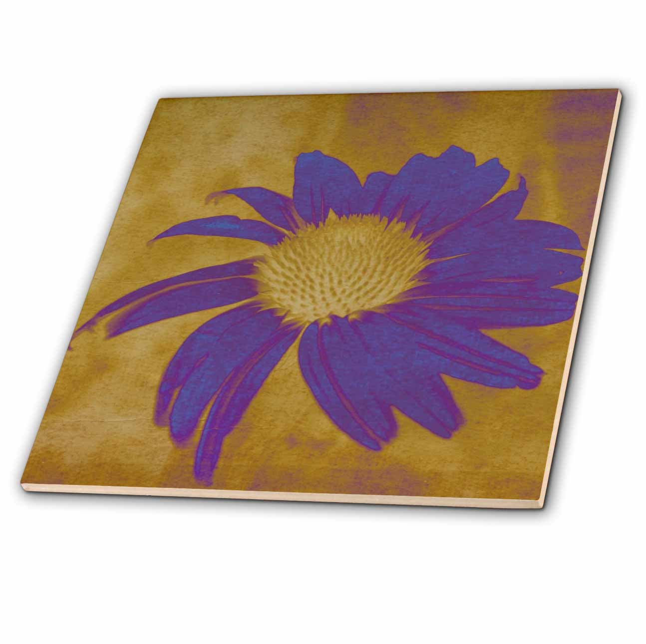 Amazon.com: 3dRose ct_42737_1 Purple Echinacea Flower-Floral Art
