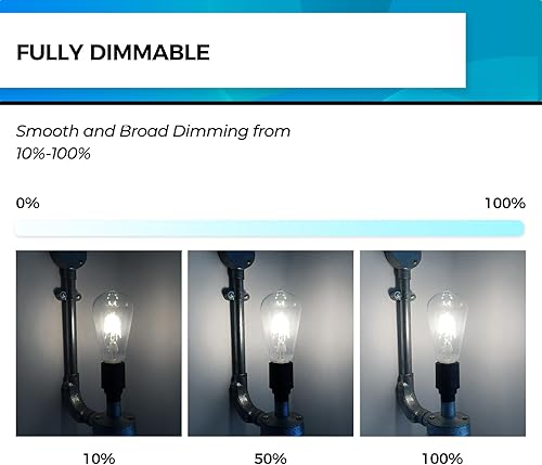 Miniatura 2 de Hizashi Bombilla LED Edison vintage regulable, equivalente a 4 W, 40 W, luz diurna de 5000 K, base E26, 450 lm, protección ocular de alto CRI 95+,