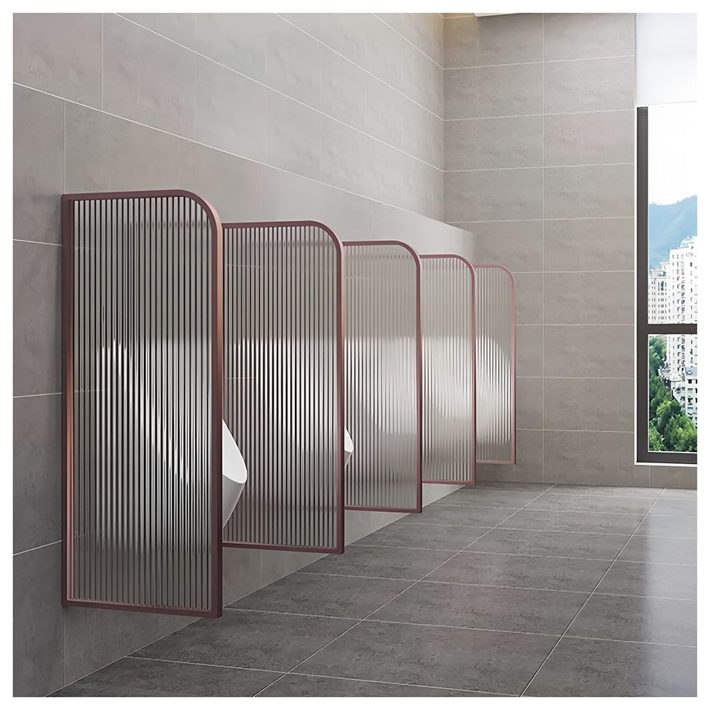 Tabique de pared para inodoro público con divisor de acero inoxidable para centros comerciales (40 x 100 cm, 15,7 x 39,3 cm, 1 unidad)