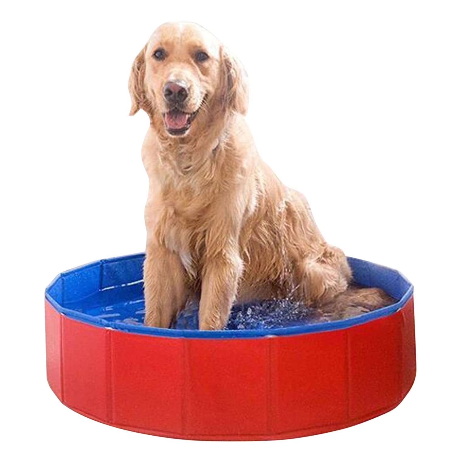Piscina Pieghevole Per Cani E Gatti In PVC Antiscivolo – Vasca Portatile Per Animali 120x30 Cm, Resistente E Facile Da Montare (Colore Casuale)