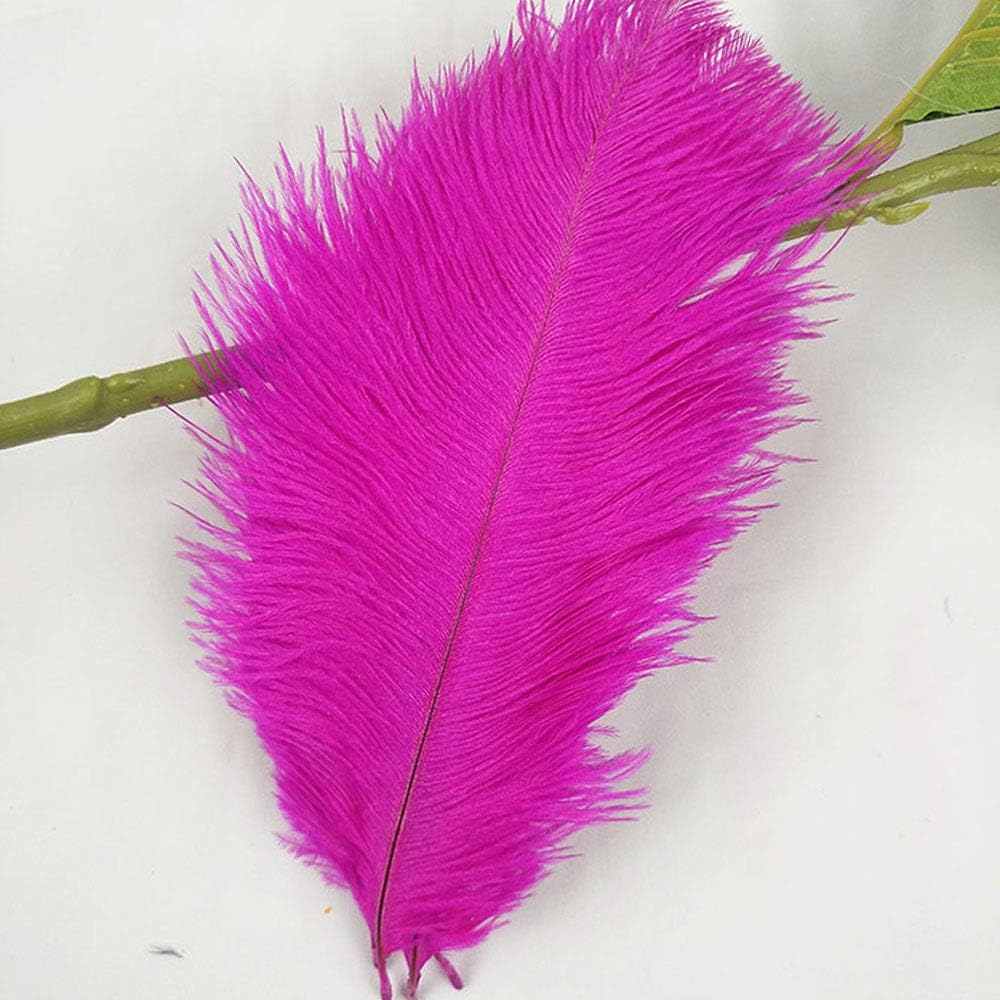Lustrous Soft Fuchsia Ostrich Feathers DIY Craft Feather 15.7-17.7 inches for Festive Carvinal Costumes Wedding Event Centerpieces