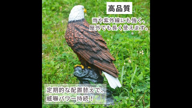 Amazon.co.jp: Quikaboo 鷲 置物 防鳥 鳥よけ オブジェ 庭用 ミスター
