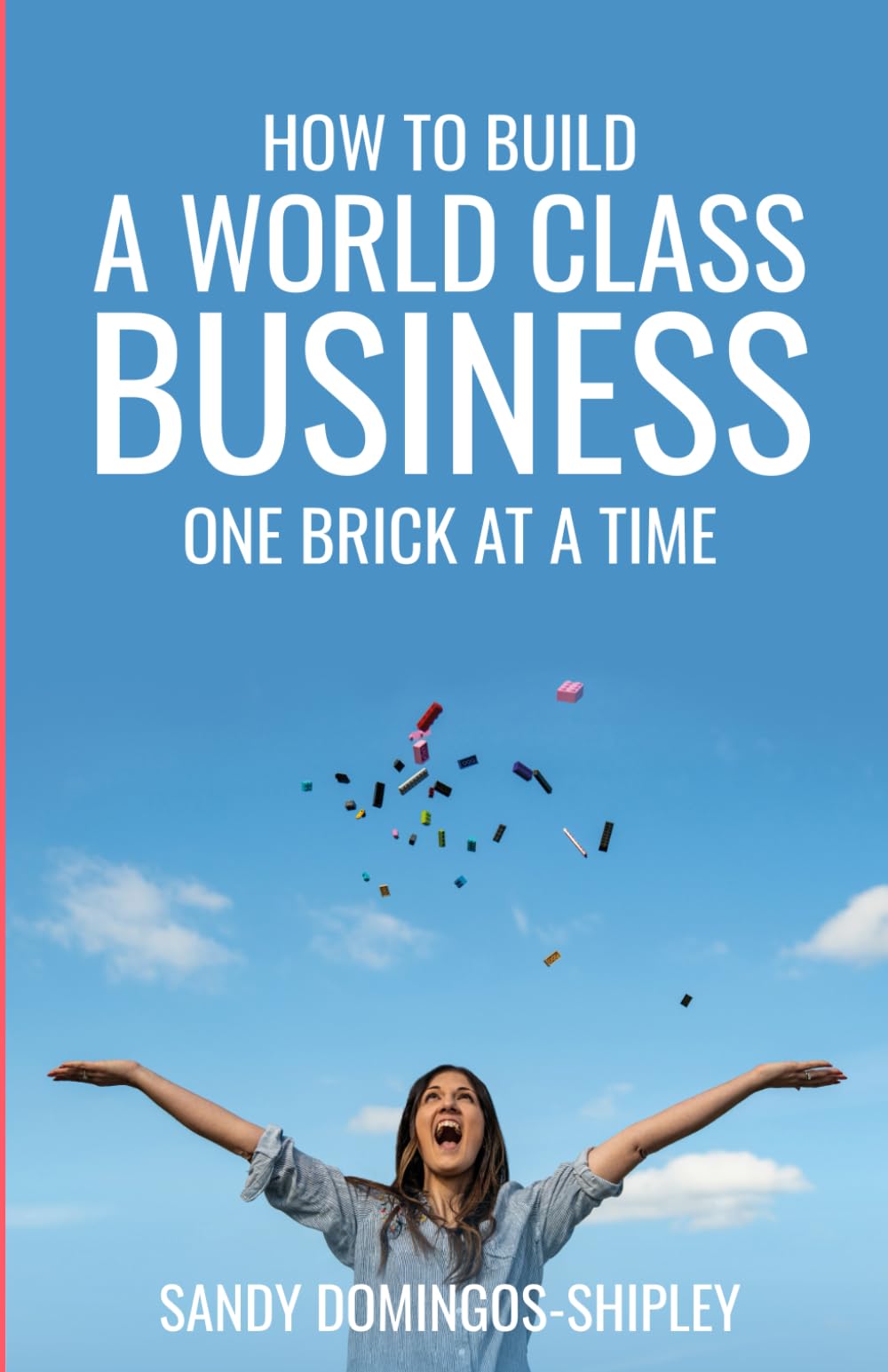 How to Build a World Class Business one Brick at a Time