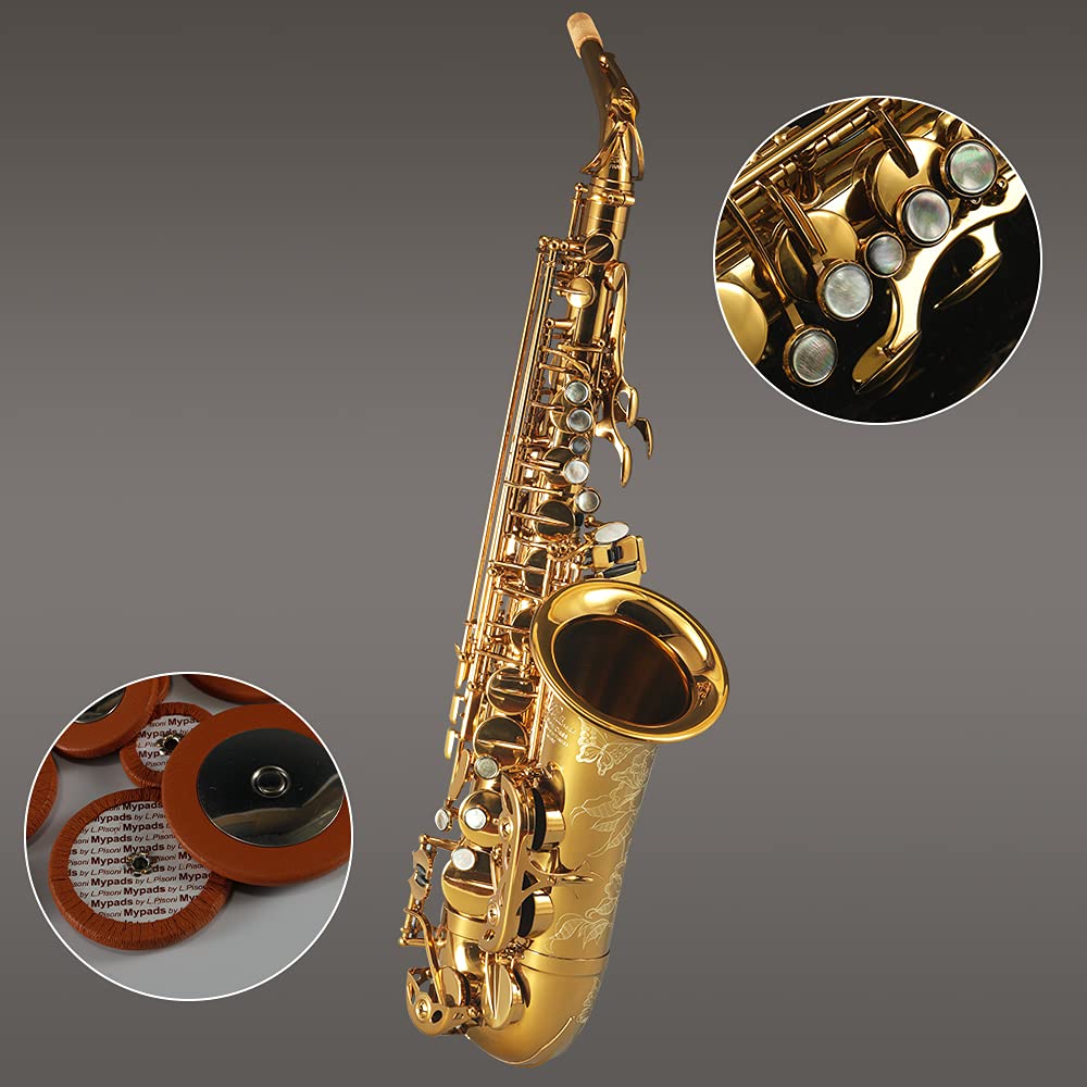 Rollins Saxophone alto RSA-X7, E flat Selmer 54-Key,Matière laiton,Or et cuivre nu