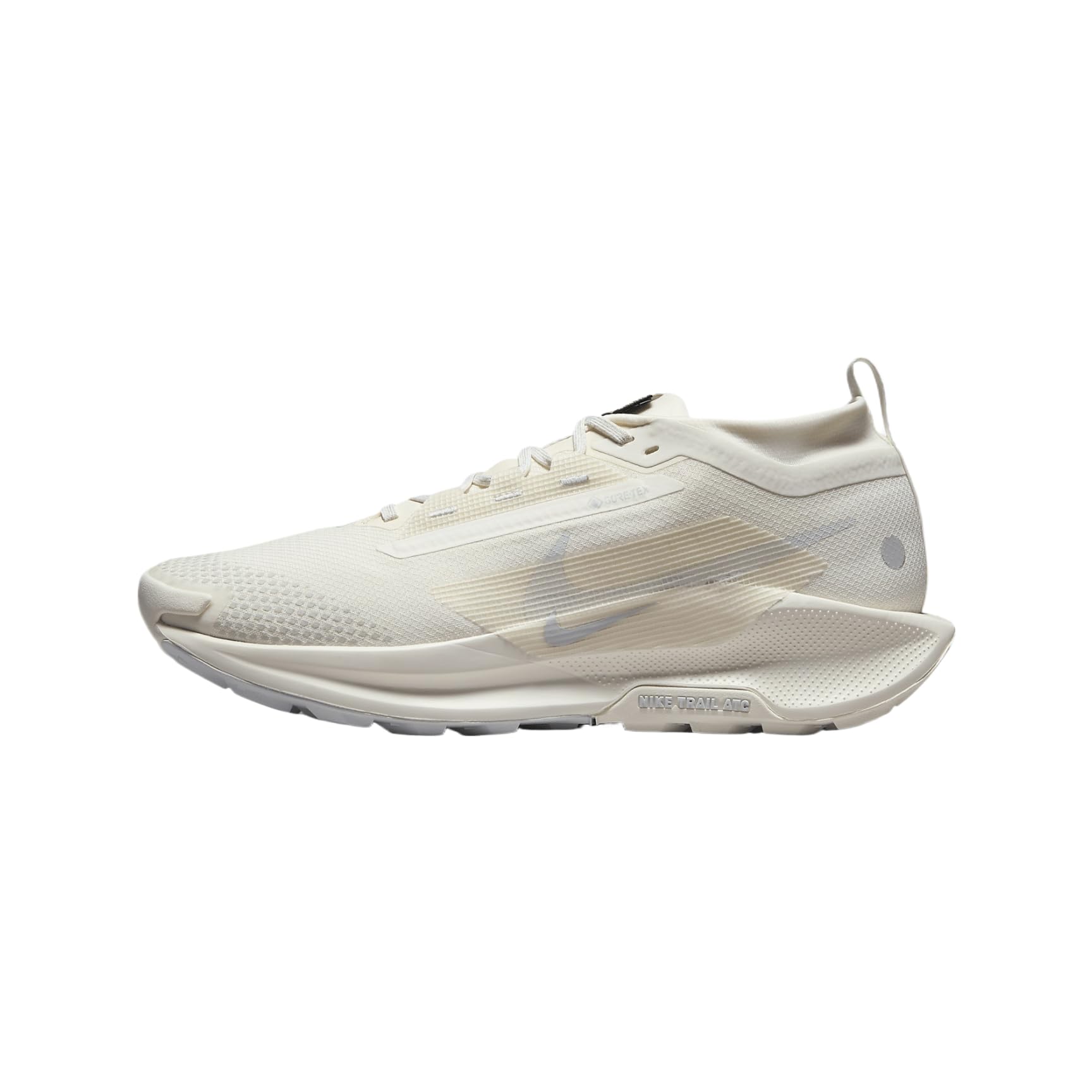 Amazon.com | Nike Pegasus Trail 5 Gore-TEX Men