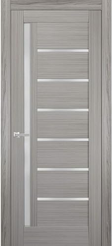 Puerta francesa maciza de vidrio esmerilado de 32 x 80 pulgadas Quadro 4088 gris ceniza Marco de panel regular individual manija Puertas