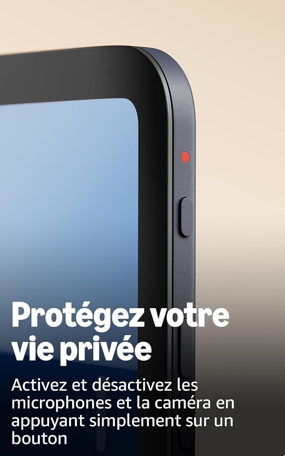 Vue 5