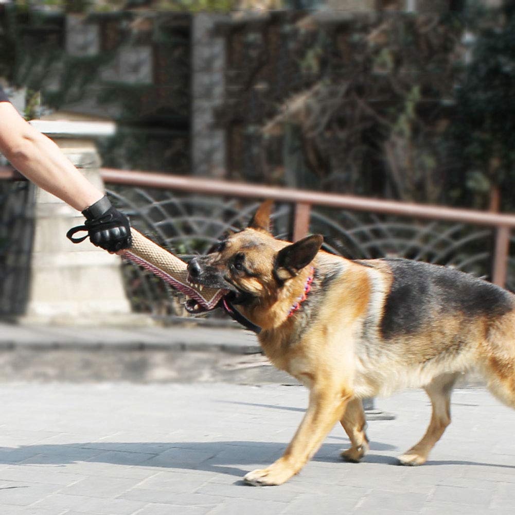 Tug Of War Dog Toy - Durable Bite Drag Toy, Double Handle