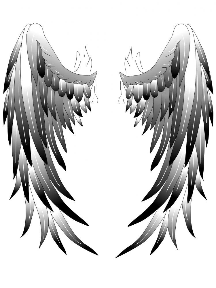 Amazon｜Wallmonkeys Angel Wings Angel Wings壁デカールPeel